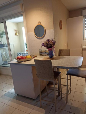 MAUGUIO Apt P2 , 60 m2, Tout Confort, Coquet, parking, 15 mn de la Mer et de Montpellier